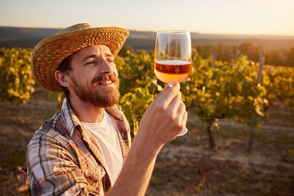 el enoturismo como negocio fruct�fero