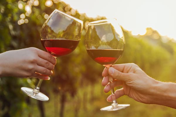 enoturismo en m�xico