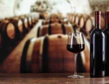 practica el enoturismo en m�xico