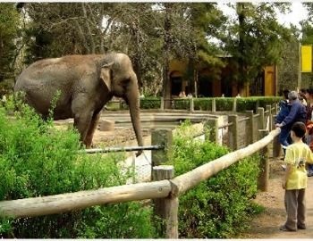 los mejores zol�gicos de m�xico